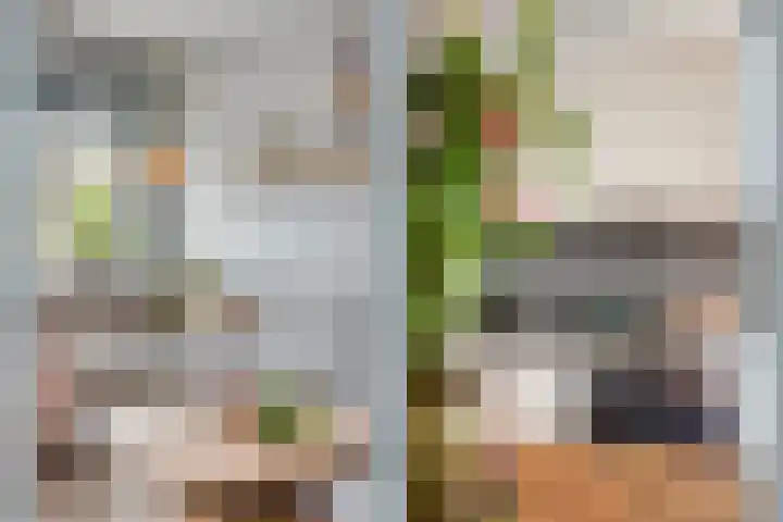 Rijsenborch 100 Vianen thumbnail 10