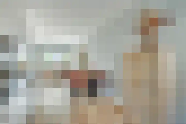 Rijsenborch 100 Vianen thumbnail 18
