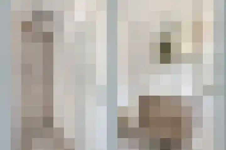 Rijsenborch 100 Vianen thumbnail 29