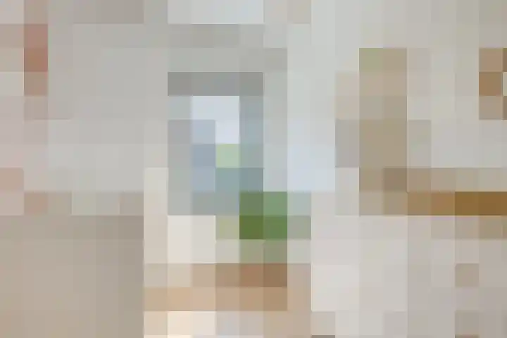 Rijsenborch 100 Vianen thumbnail 31