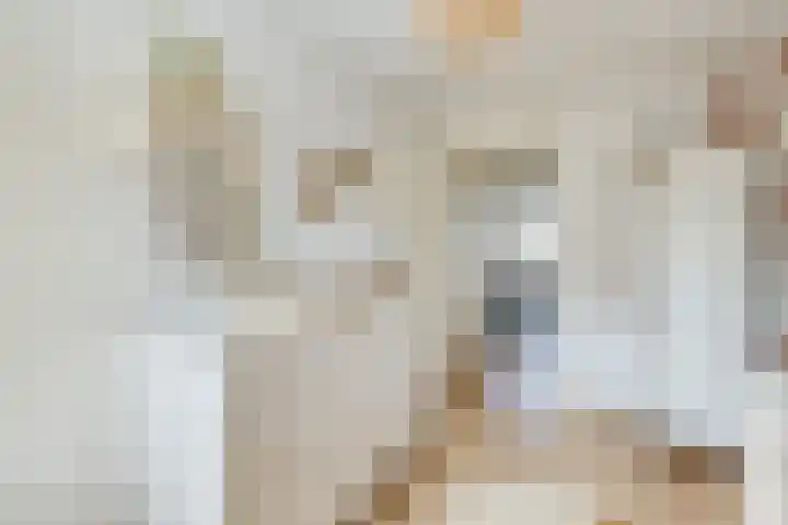 Rijsenborch 100 Vianen thumbnail 32