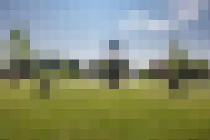 Rijsenborch 100 Vianen thumbnail 46