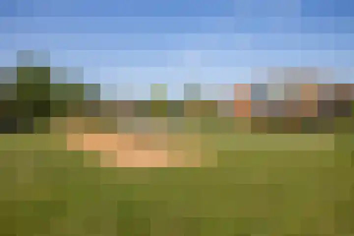 Rijsenborch 100 Vianen thumbnail 47