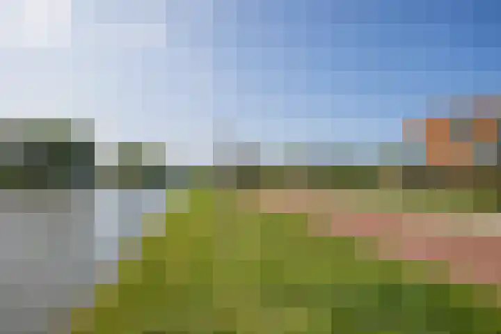 Rijsenborch 100 Vianen thumbnail 48