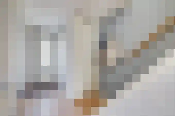 Rijsenborch 100 Vianen thumbnail 6