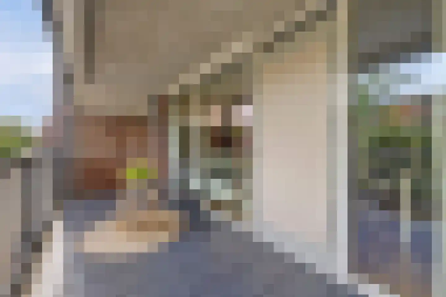 Rijsenborch 109 Vianen thumbnail 14