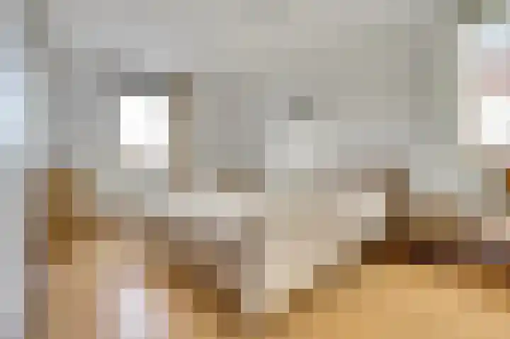 Rijsenborch 11 Vianen thumbnail 27