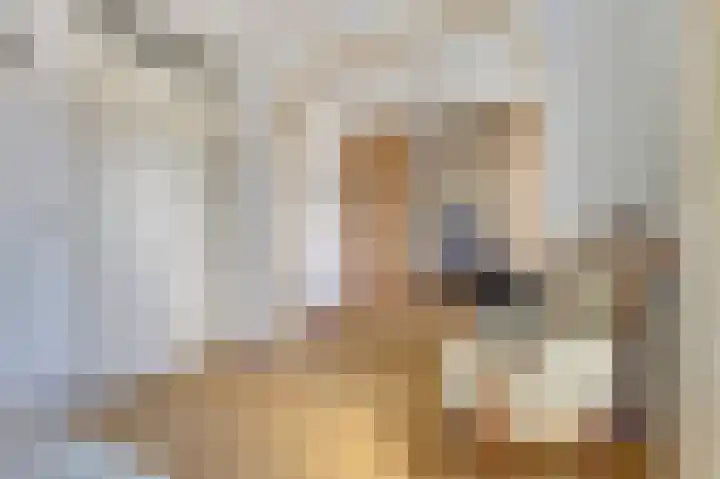 Rijsenborch 11 Vianen thumbnail 31