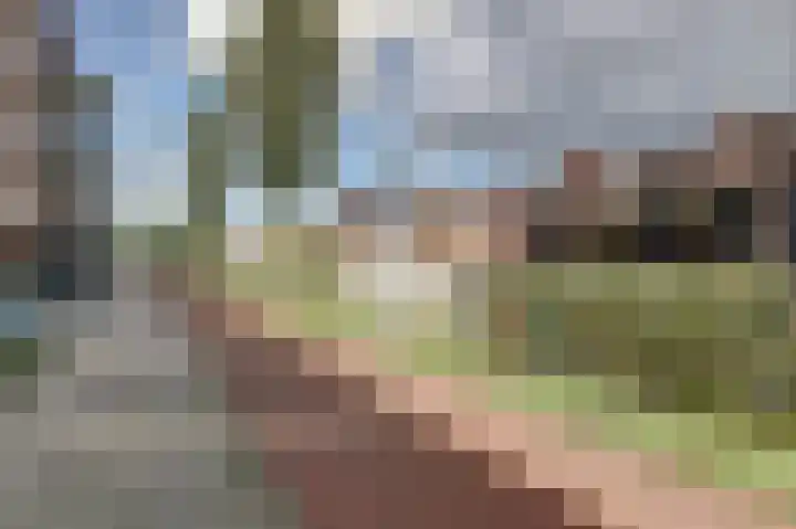 Rijsenborch 11 Vianen thumbnail 4