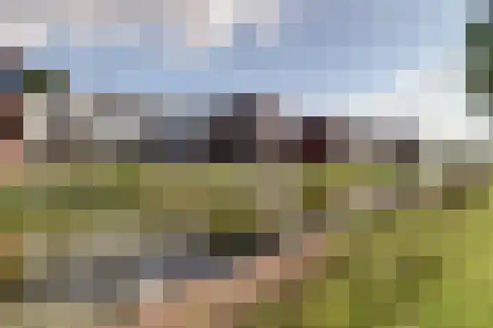 Rijsenborch 11 Vianen thumbnail 5