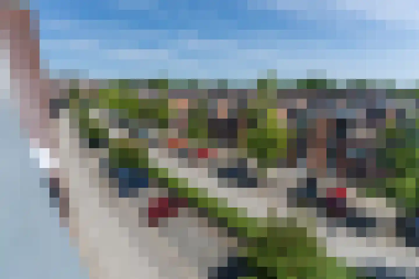 Rijsenborch 177 Vianen thumbnail 16