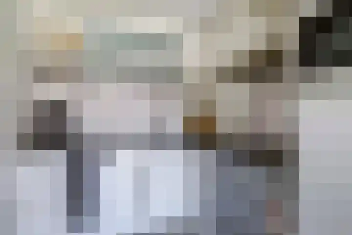 Rijsenborch 185 Vianen thumbnail 14