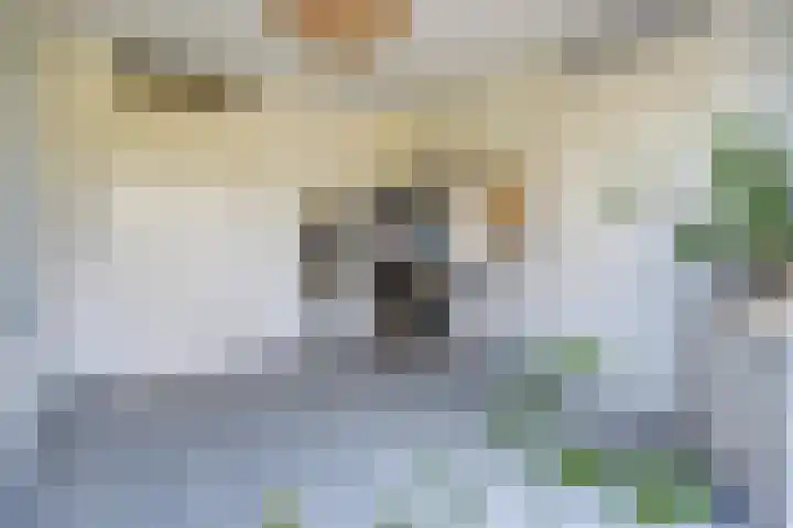 Rijsenborch 185 Vianen thumbnail 15