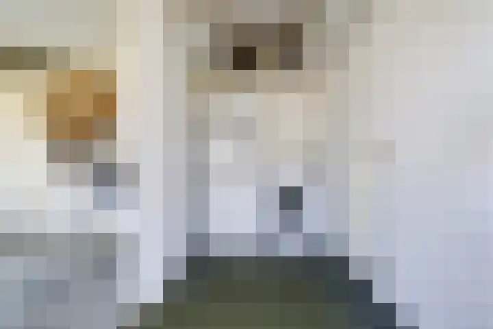 Rijsenborch 185 Vianen thumbnail 17