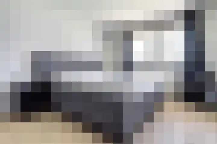 Rijsenborch 185 Vianen thumbnail 19