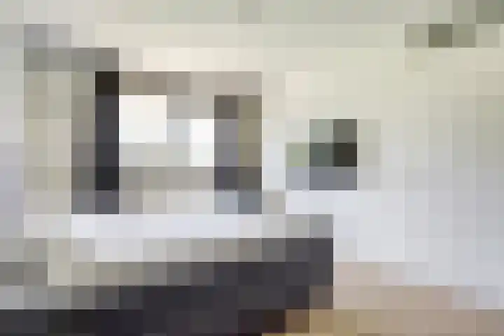 Rijsenborch 185 Vianen thumbnail 20
