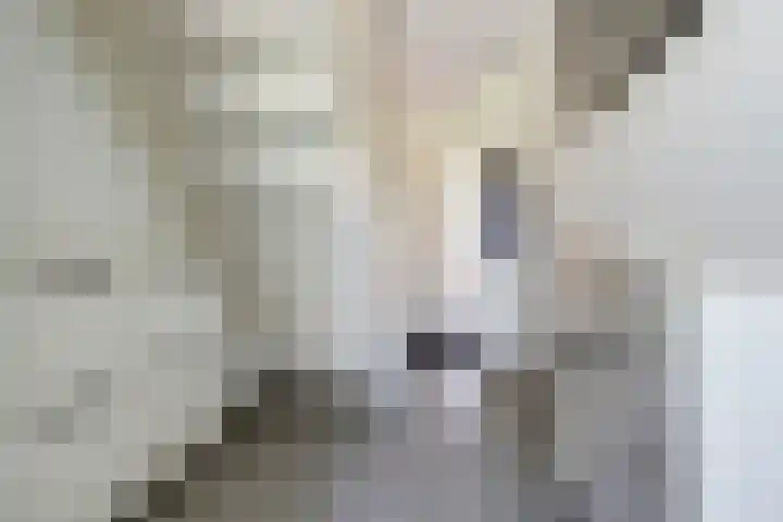 Rijsenborch 185 Vianen thumbnail 5