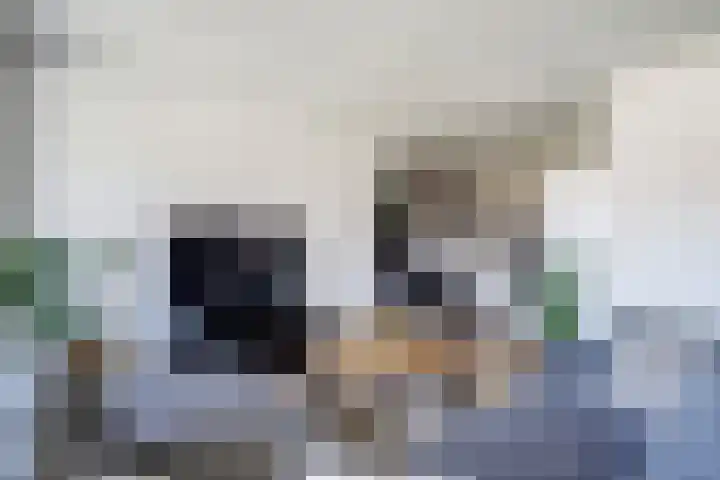 Rijsenborch 185 Vianen thumbnail 9