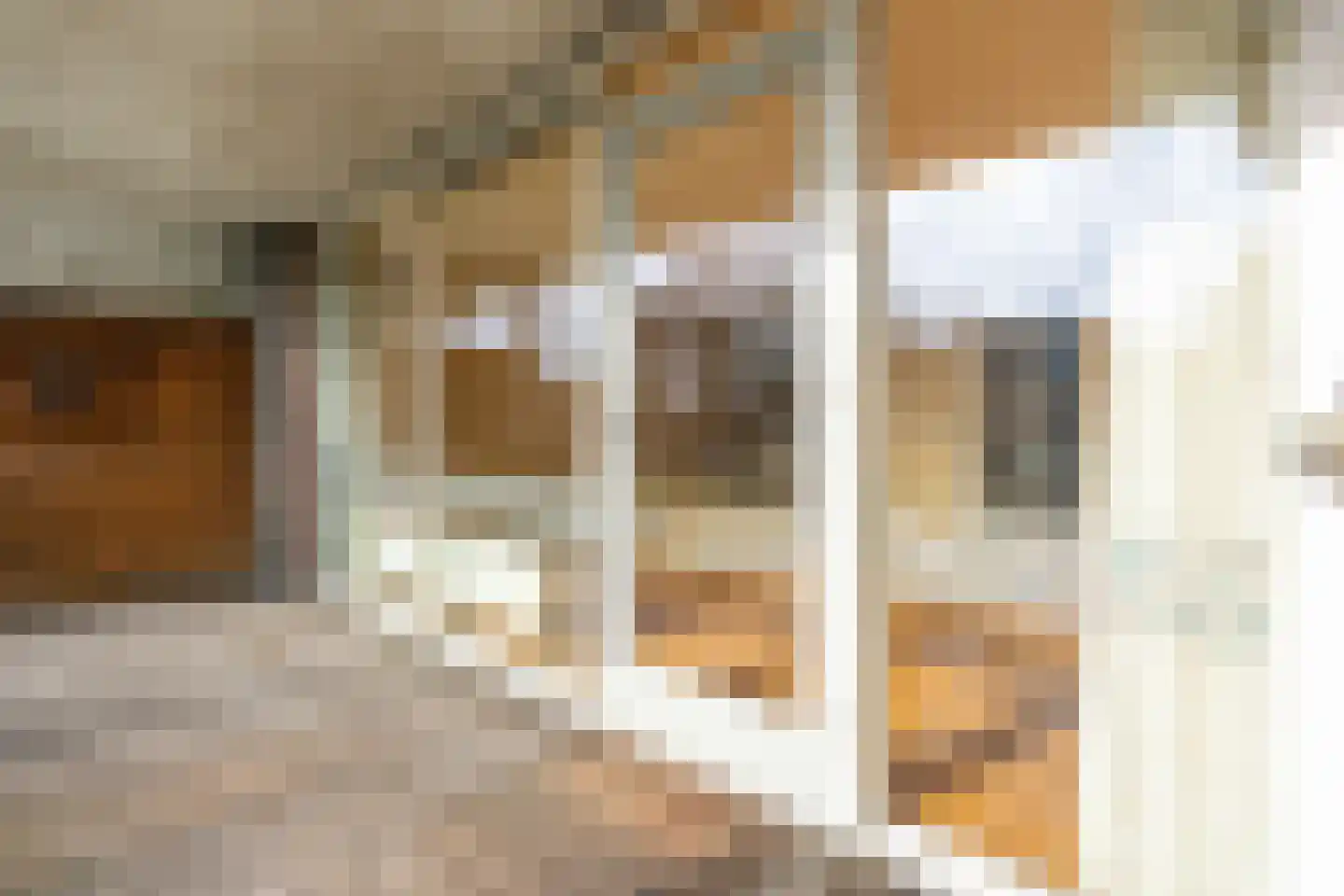 Rijsenborch 221 Vianen thumbnail 22