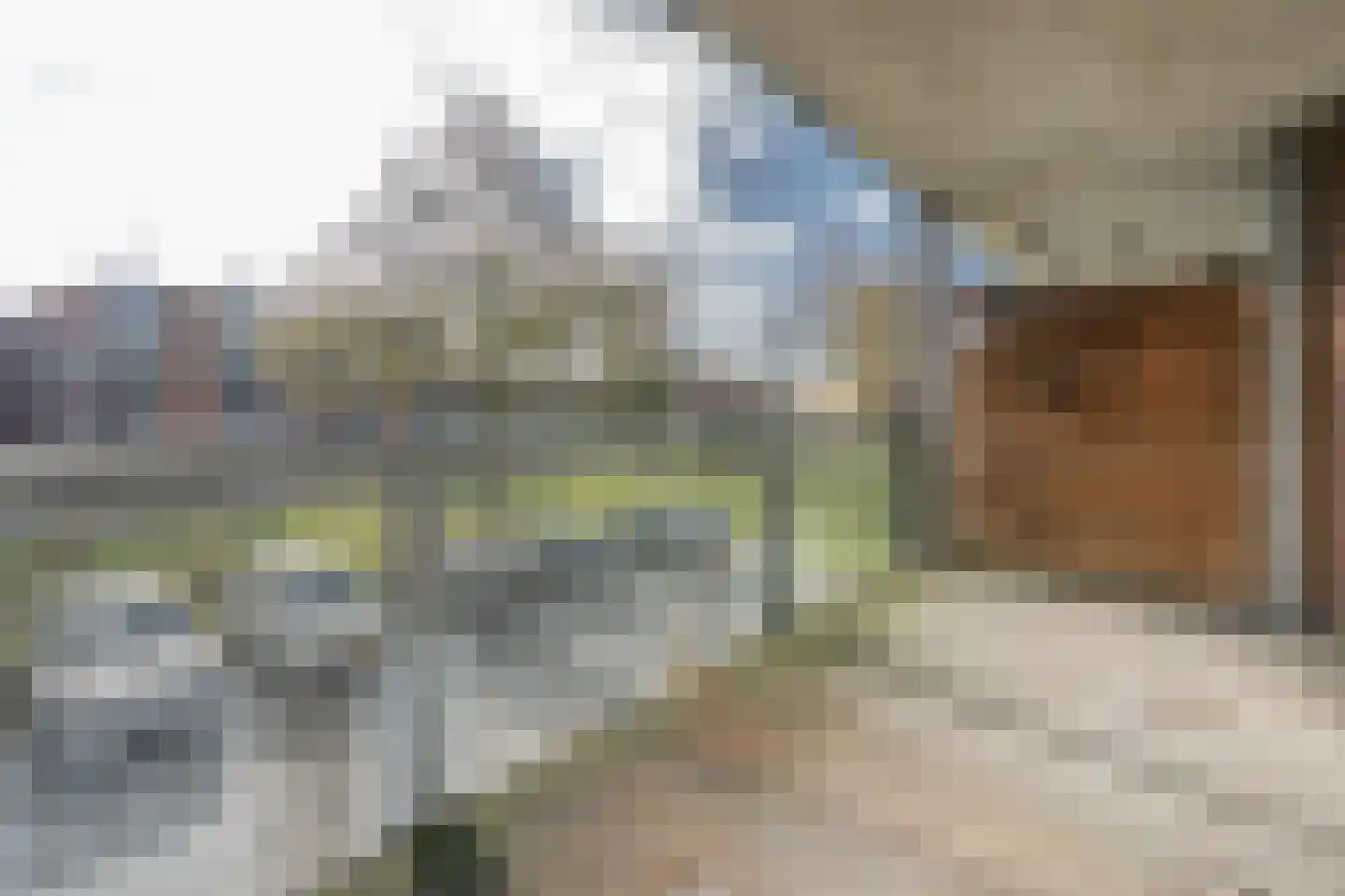 Rijsenborch 221 Vianen thumbnail 23