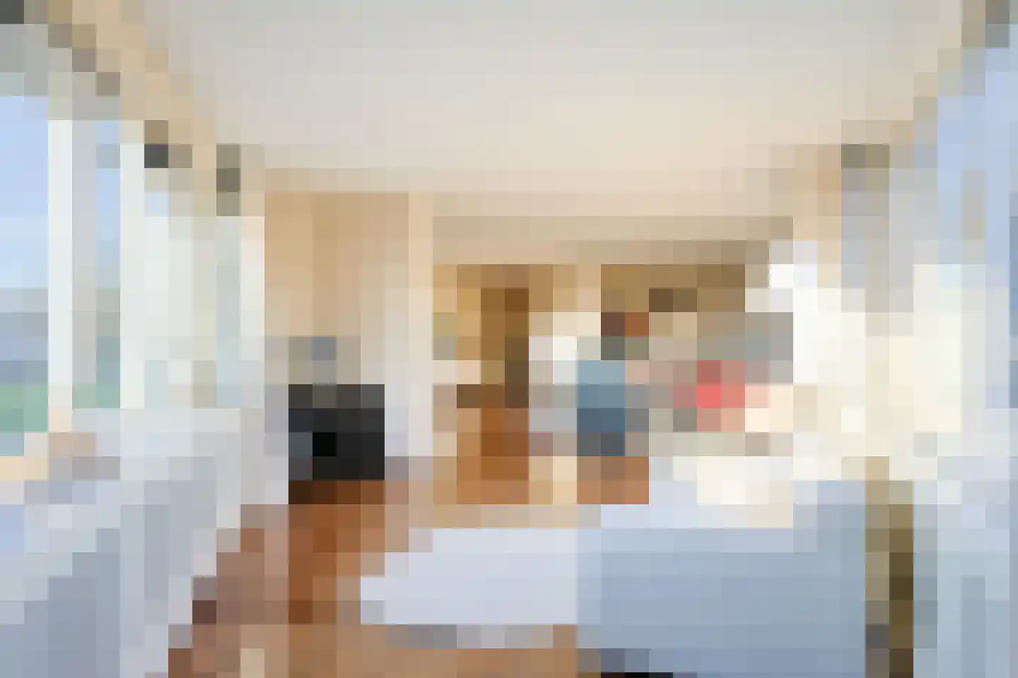 Rijsenborch 233 Vianen thumbnail 16