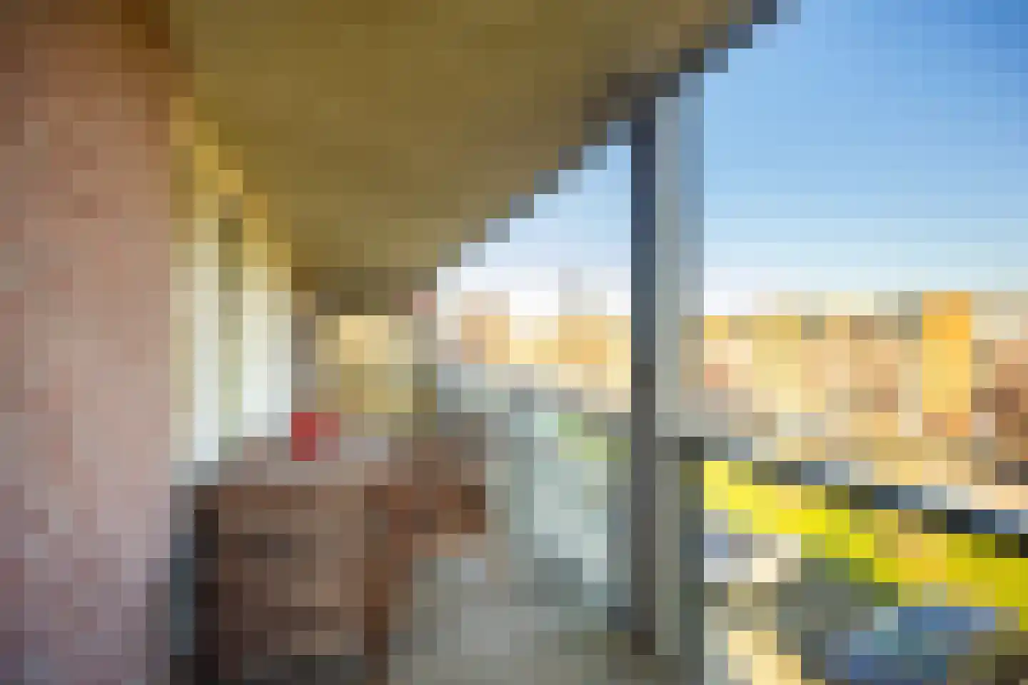 Rijsenborch 233 Vianen thumbnail 20