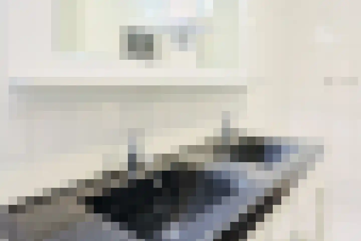 Rijsenborch 233 Vianen thumbnail 33