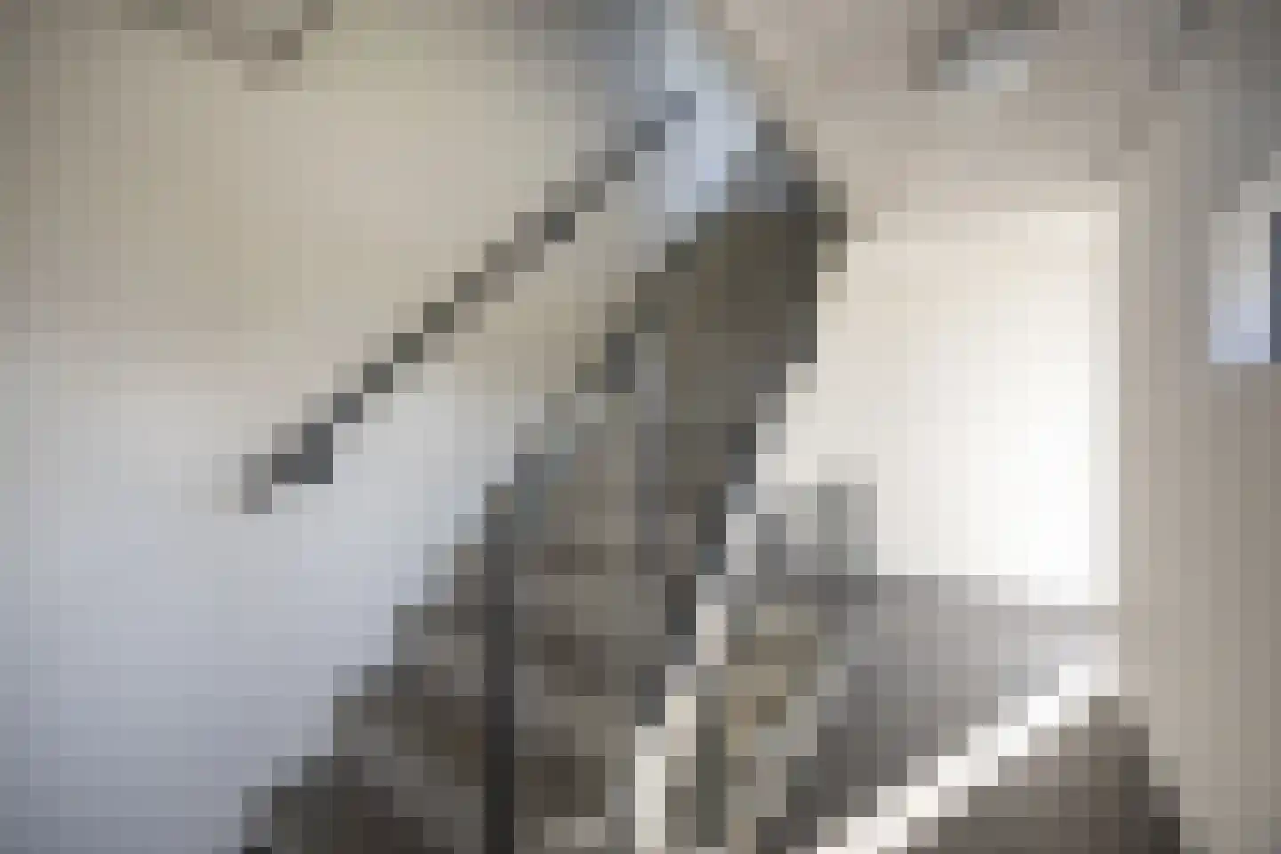 Rijsenborch 233 Vianen thumbnail 44