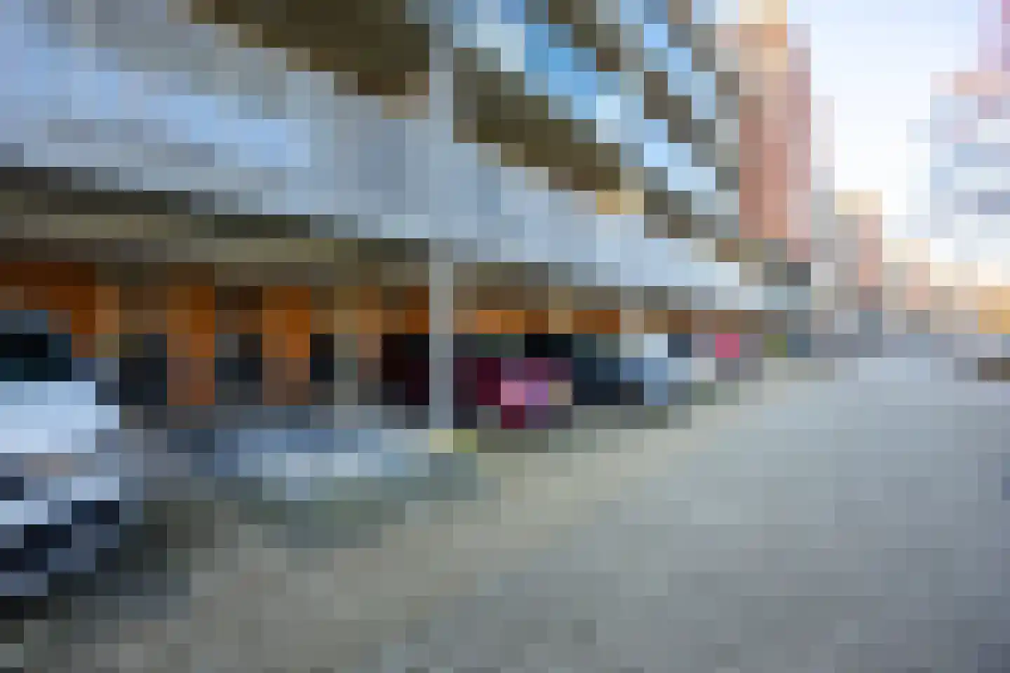 Rijsenborch 233 Vianen thumbnail 46