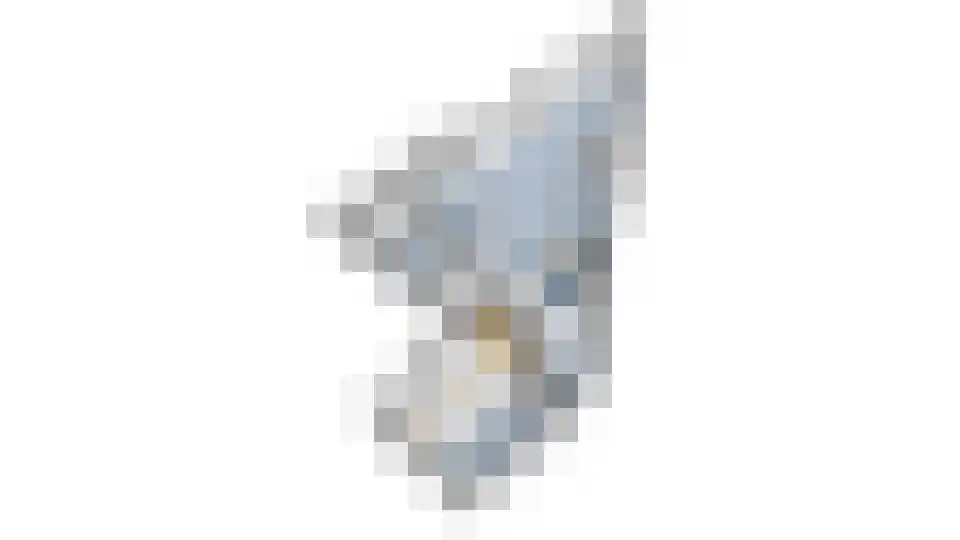 Rijsenborch 233 Vianen thumbnail 55
