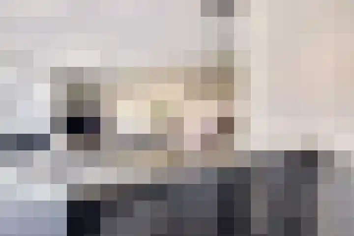 Rijsenborch 253 Vianen thumbnail 20
