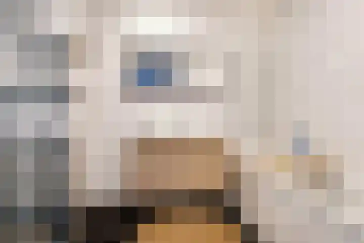 Rijsenborch 253 Vianen thumbnail 28