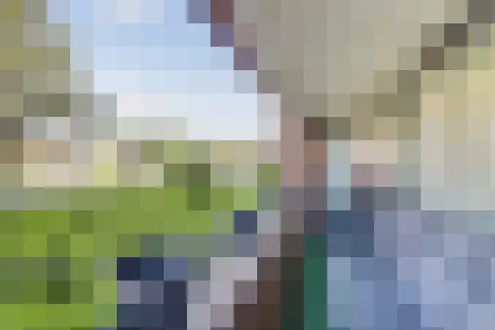 Rijsenborch 253 Vianen thumbnail 32