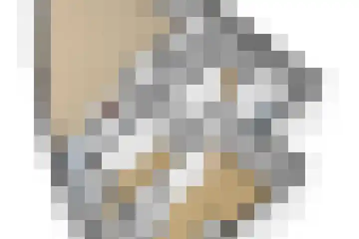 Rijsenborch 253 Vianen thumbnail 36