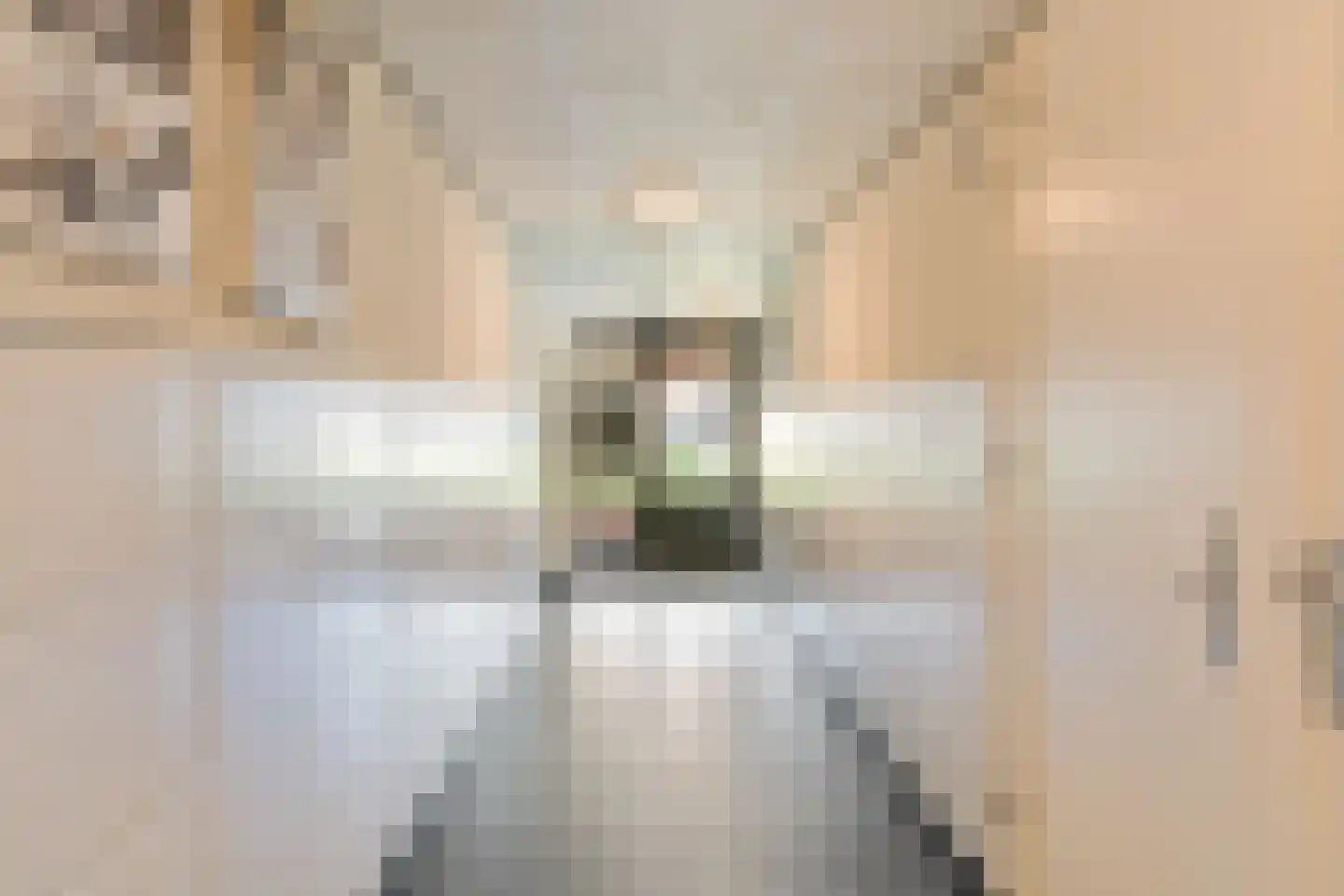 Rijsenborch 261 Vianen thumbnail 25