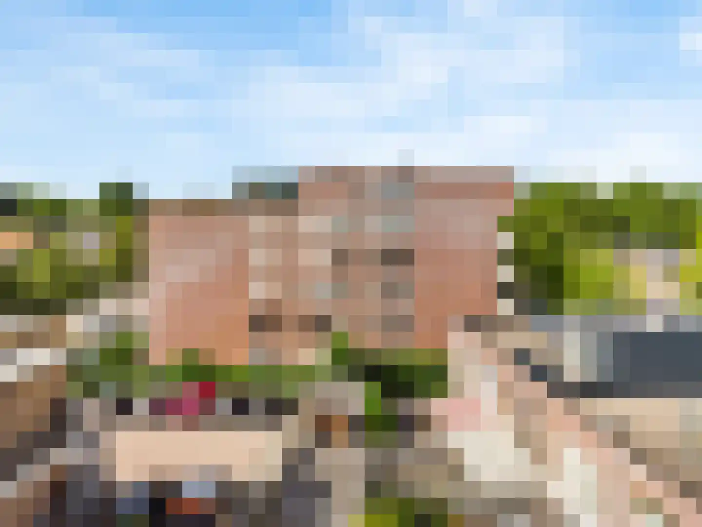 Rijsenborch 261 Vianen thumbnail 26
