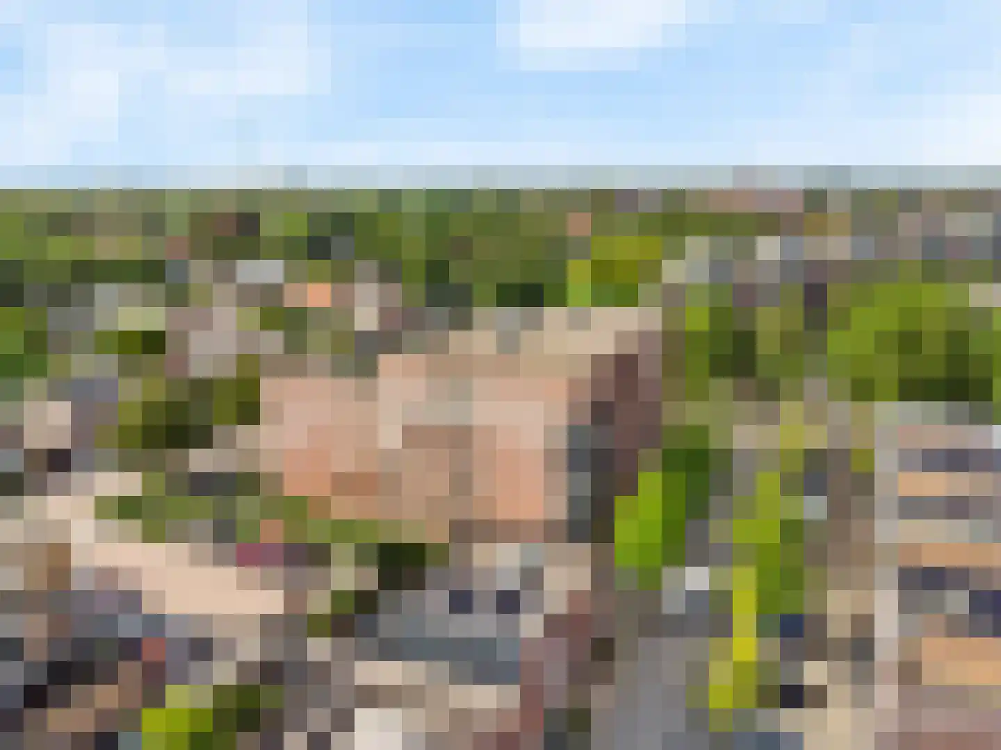 Rijsenborch 261 Vianen thumbnail 27
