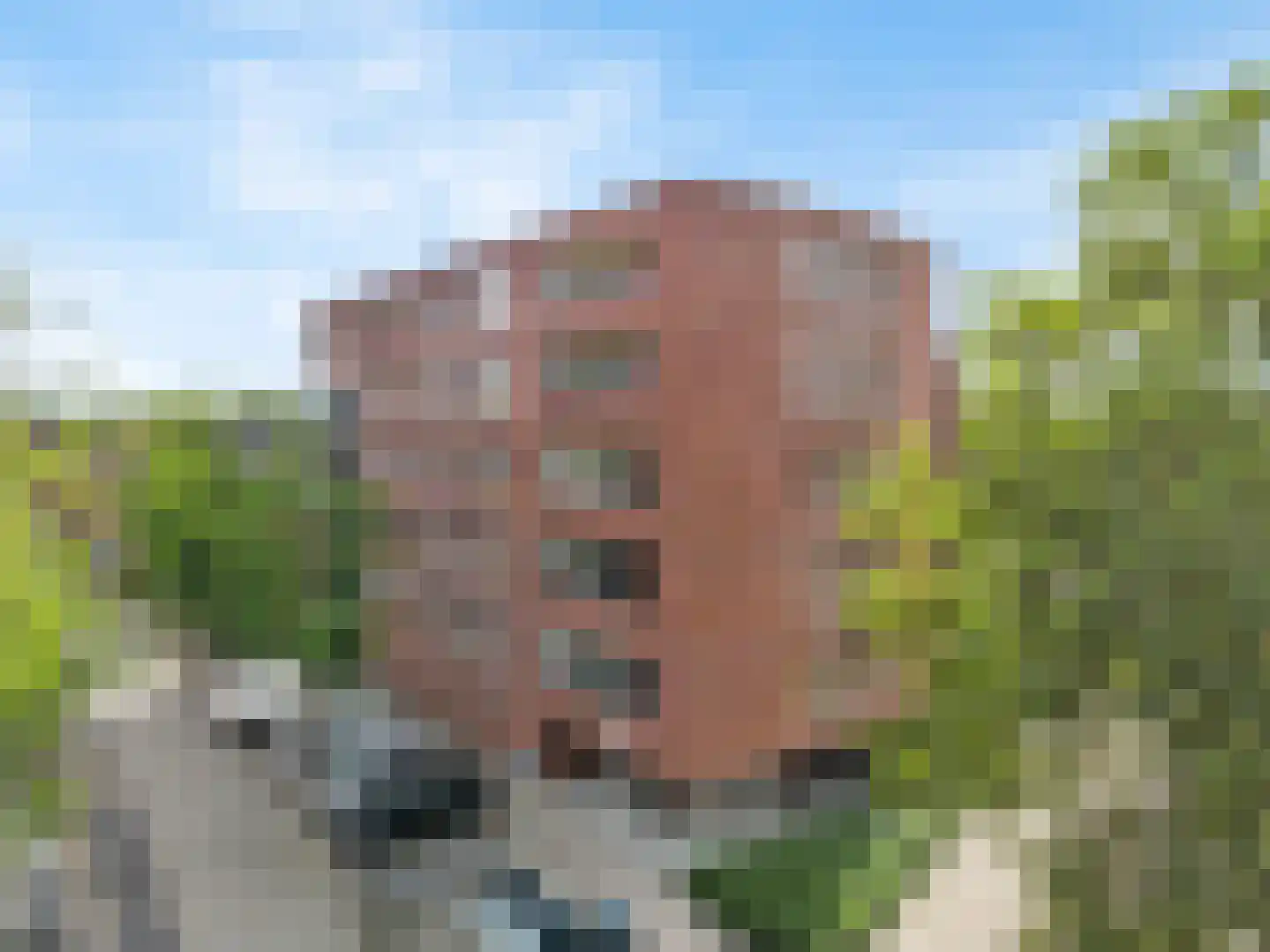 Rijsenborch 261 Vianen thumbnail 28