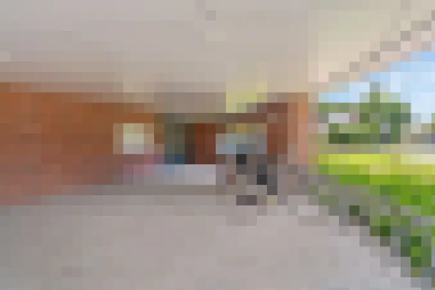 Rijsenborch 261 Vianen thumbnail 29