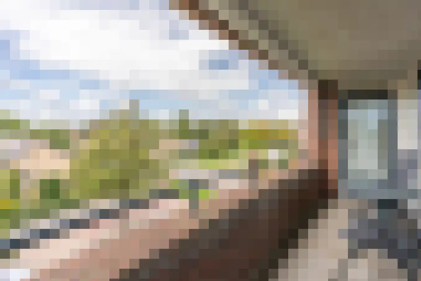 Rijsenborch 279 Vianen thumbnail 11
