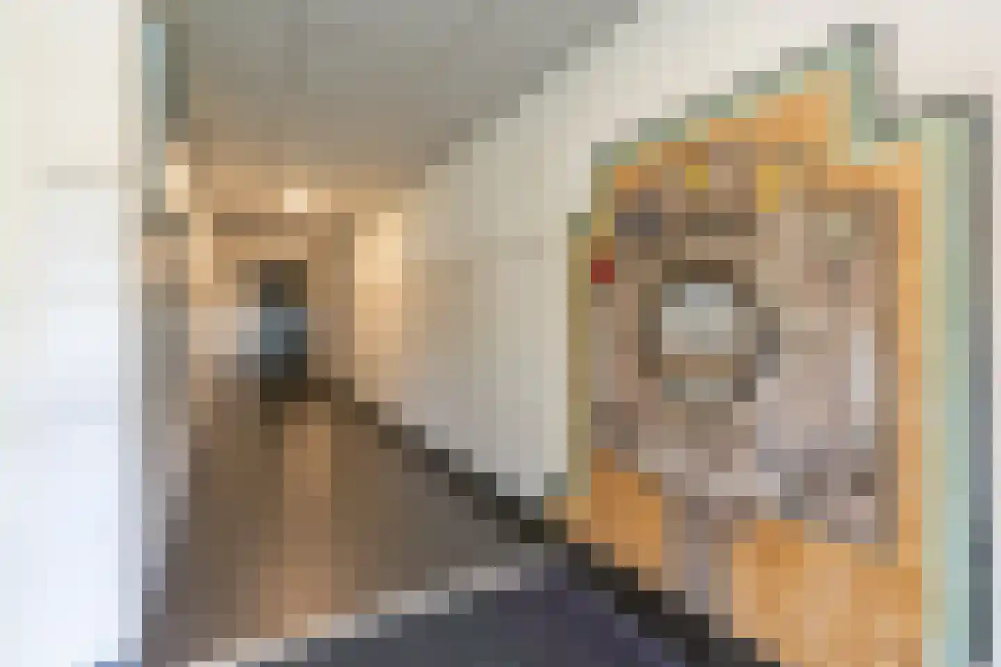 Rijsenborch 279 Vianen thumbnail 14