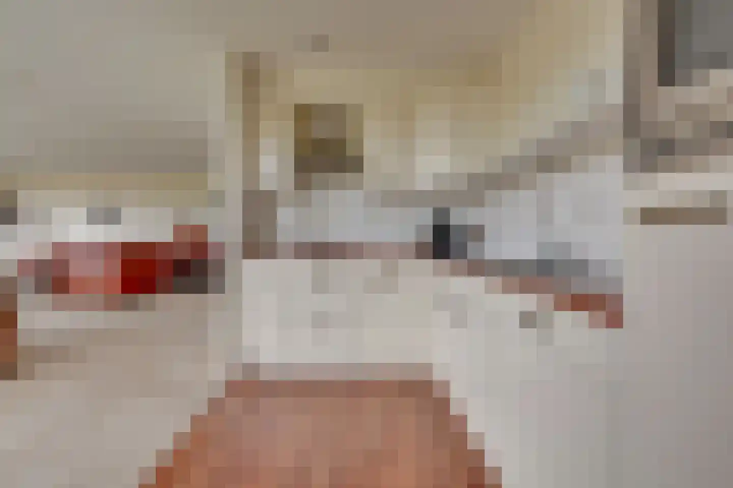 Rijsenborch 279 Vianen thumbnail 27