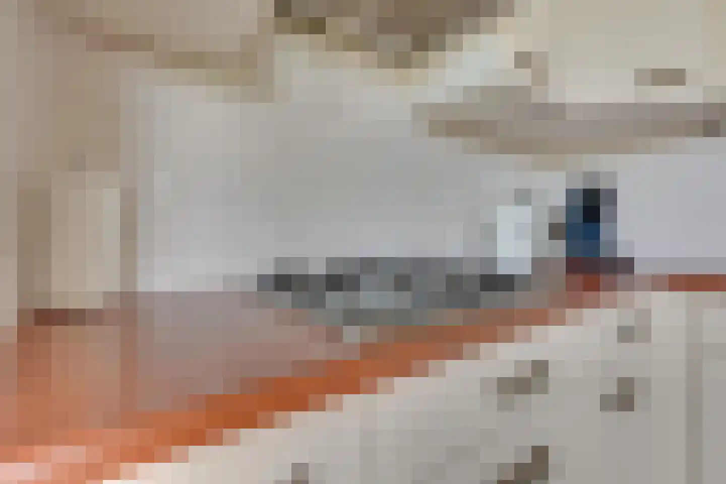 Rijsenborch 279 Vianen thumbnail 28