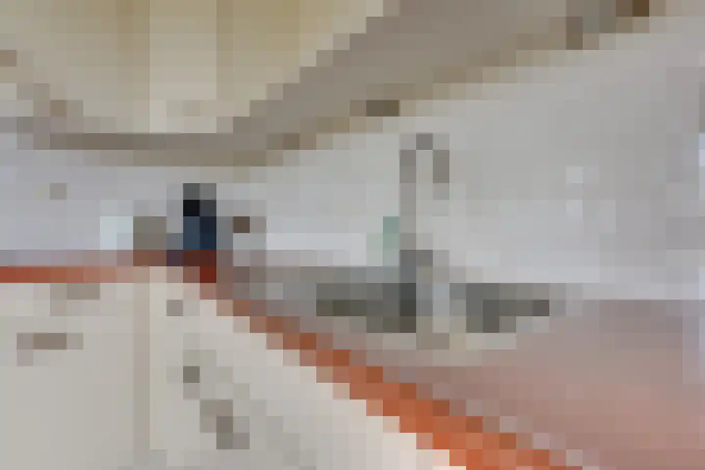 Rijsenborch 279 Vianen thumbnail 29