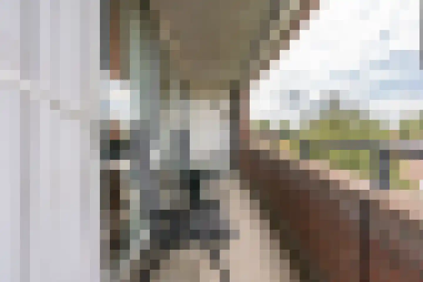 Rijsenborch 279 Vianen thumbnail 31