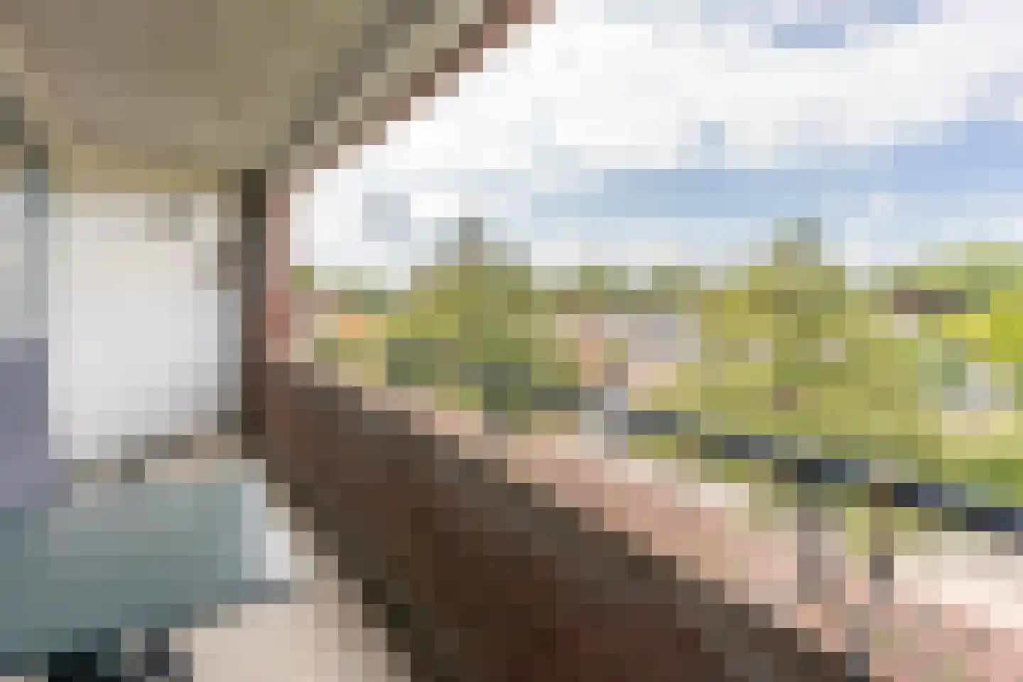 Rijsenborch 279 Vianen thumbnail 32