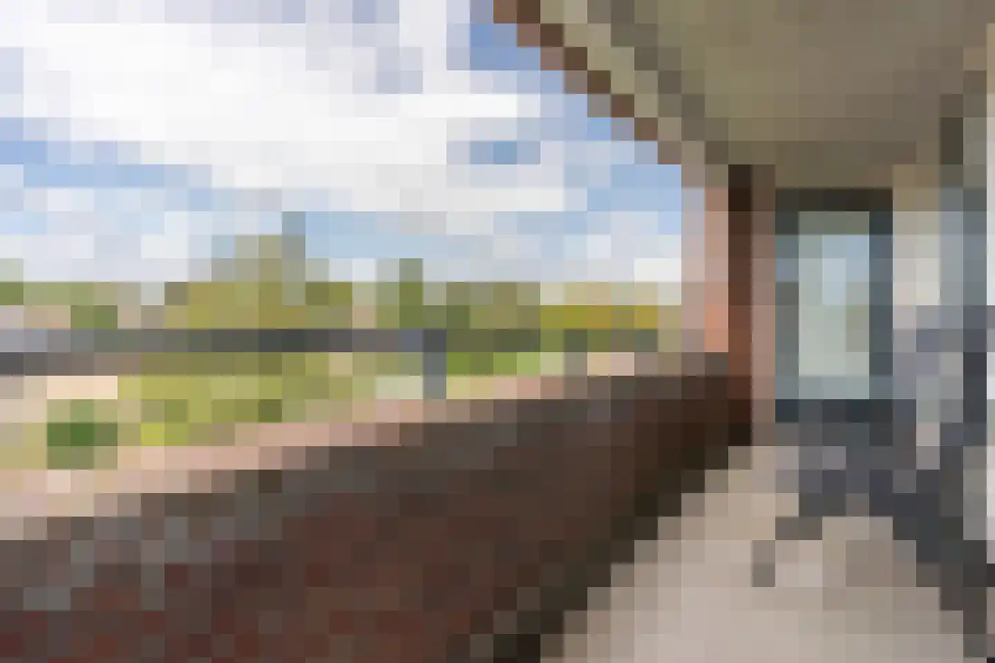 Rijsenborch 279 Vianen thumbnail 33