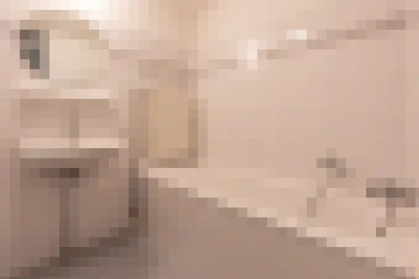 Rijsenborch 279 Vianen thumbnail 40