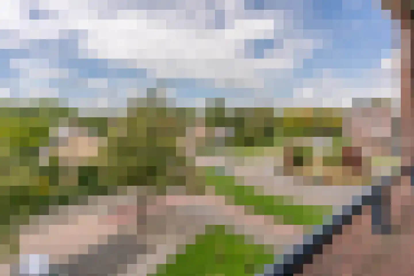 Rijsenborch 279 Vianen thumbnail 5