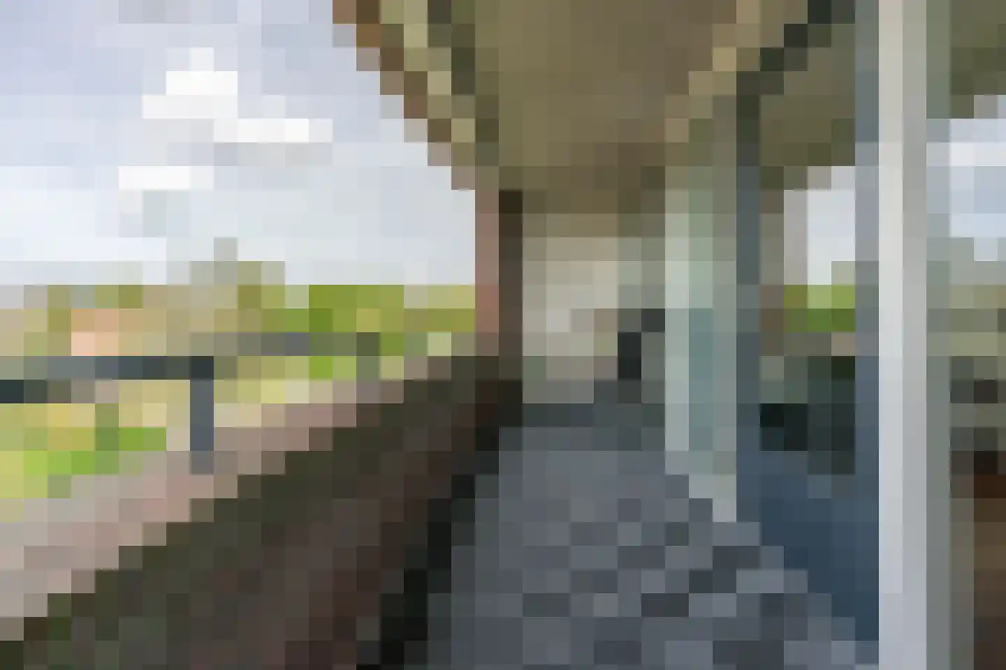 Rijsenborch 281 Vianen thumbnail 23